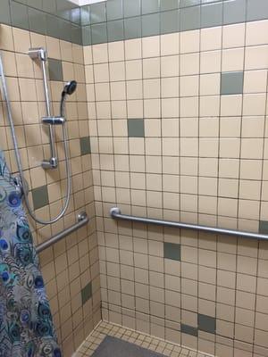 Large handicap shower