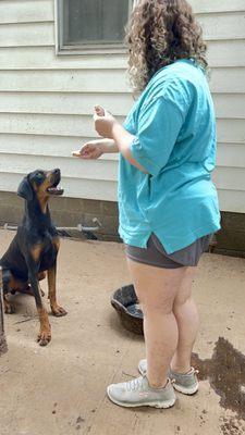 My daughter working with the rescue dogs after being coached by Marj the Dog Trainer!!!