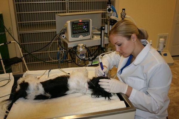 Dr. Myers performing a dental cleaning