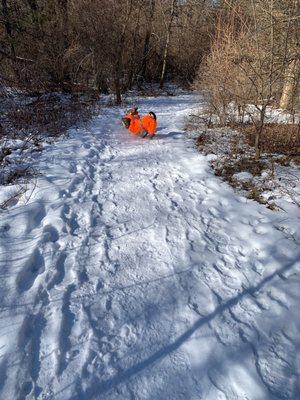 Waterloo Recreation Area