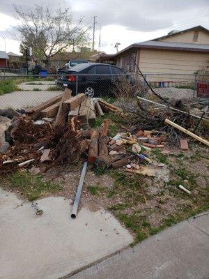 2 weeks.   Mixed with the workers trash  along with what they used to nail the bricks together,  pipping, tree debris , top soil .