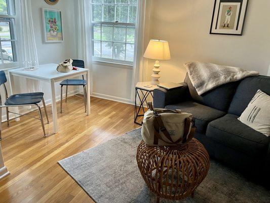 Living room and Kitchenette