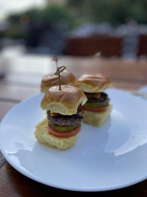 Sliders