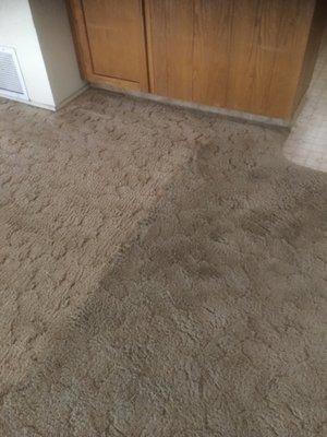 left side clean/right side dirty. very old carpet more to come