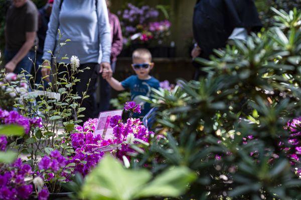 Exploring the garden with the family