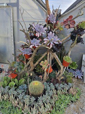 Display outside greenhouse