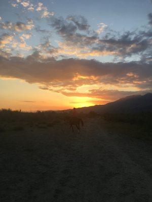 River bottoM Sunset.