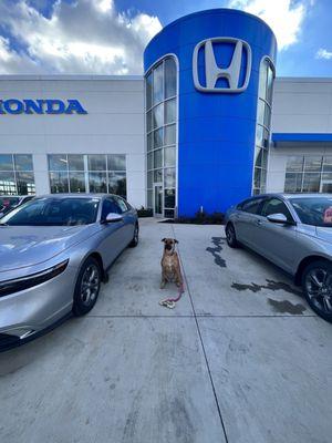 Mcgrath Honda Of St. Charles