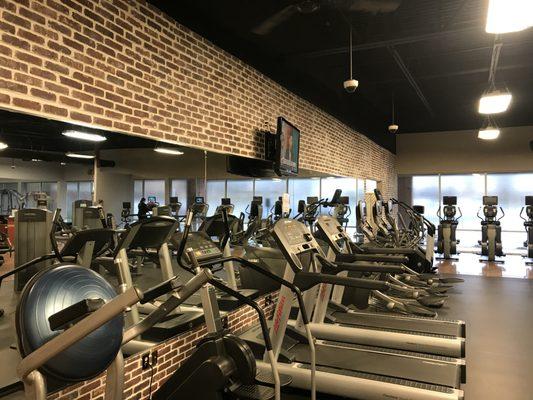 Main Gym Floor ... Cardio :: Treadmills, Octanes, and StairClimber ( all LifeFitness equipment )