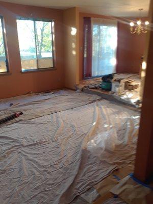 Colibri Painting & Remodeling