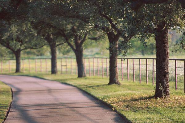 Burning Tree Ranch Driveway