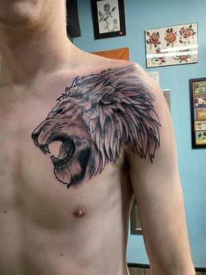 Lion done by Jarrod