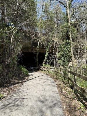 Entrance to cave