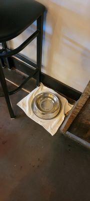 Dog water bowl