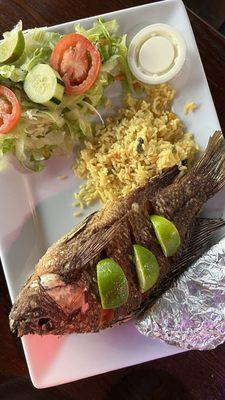 Fried fish platter