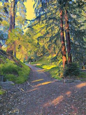 Claremont Canyon Regional Preserve