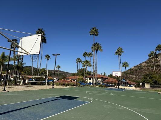 Basketball court