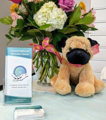 Our opening was recognized by Dr. Marty Becker! He sent us this lovely bouquet and little puppy.