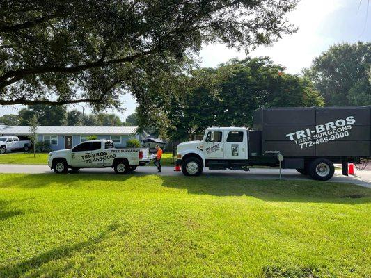 Tri-Brothers Tree & Landscaping