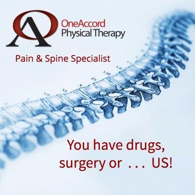 Experience the OneAccord Manual Therapy Difference . . . we are successful when traditional care has failed!