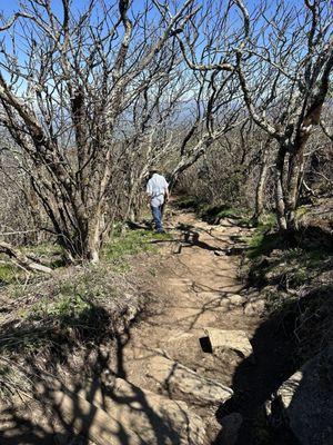 Craggy Pinnacle Trail