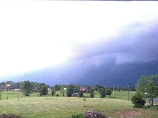 Rodney just off my back deck. Just south of ozark