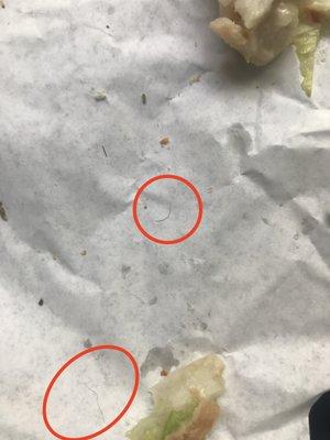 2 of the 3 HAIRS I FOUND IN MY FOOD.