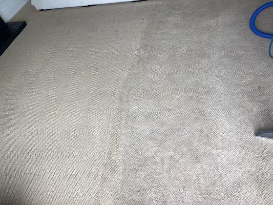 My carpet, before and after