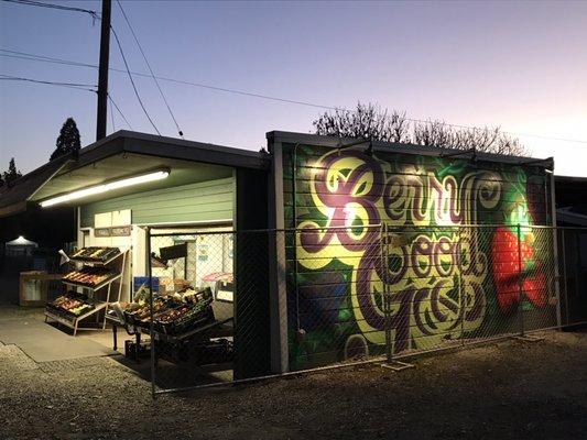 The fresh fruit and vegetable store operated by Parsons Farms.  They now have lots and lots of fresh Christmas trees for sale.