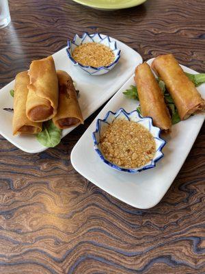 Chicken and veggie spring rolls