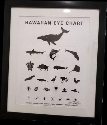 Hawaiian eye doctor humor