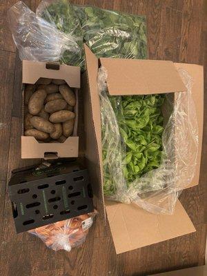 All of this for only $35! Spinach, cilantro, bib lettuce, potatoes, asparagus, and carrots!