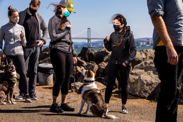 LRA (Leash Reactive Anonymous)  Group class