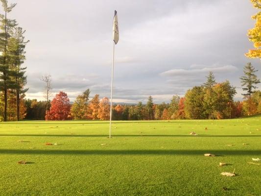 #18 Green in the Fall