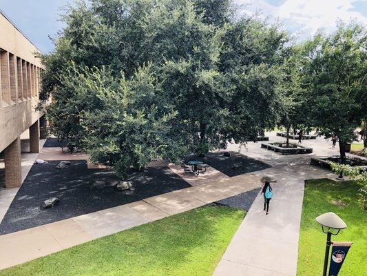 On the Student Center's bridge overlooking a pod where events are held.