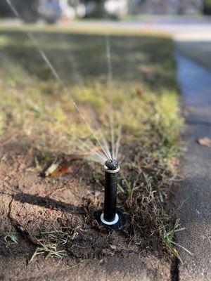 Zone1 Sprinkler Repair & Installation