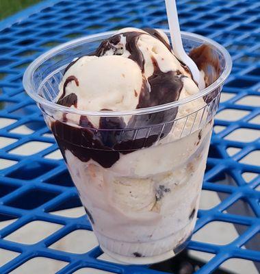 Double hot fudge on Rum Raisin.