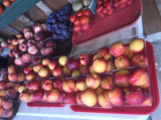 Local peaches, nectarines and plums!