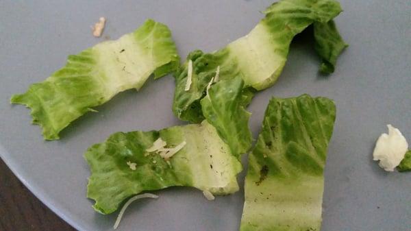 Sandy salad.. crunchy. ..