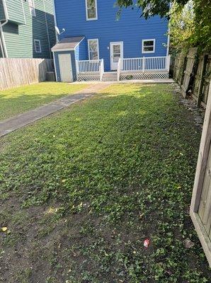 Mowed and edged this backyard in Richmond