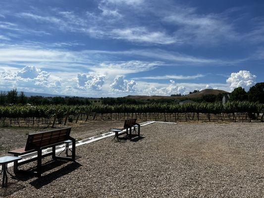 View from outdoor tasting area