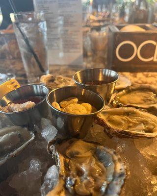 East coast oysters