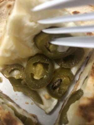 A dead cockroach in a jalapeño quesadilla.