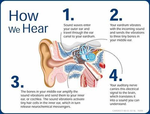 Audiology Plus