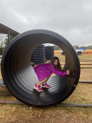 Hamster wheel