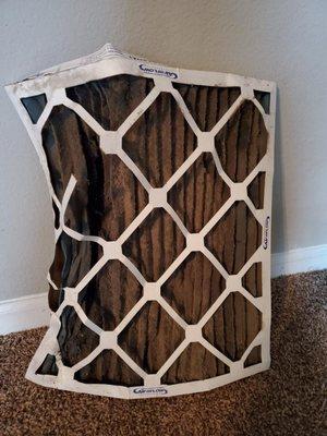 6 months after moving in, complaining SEVERAL times about air not working, they finally change the filter. wet and moldy in a locked closet!