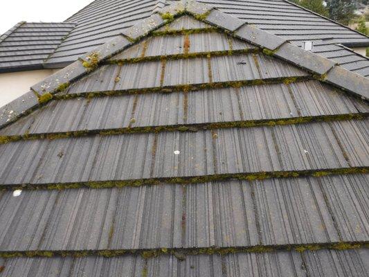 Moss removal and treatment available for any roof type.  Important to extend the life of your roof.