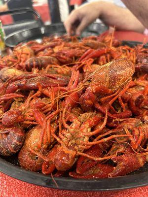 Crawfish  again! They were so good they deserved 2 photos!