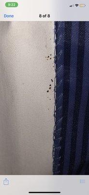 I FaceTimed my boyfriend while checking room 302, same rusty colored spots on these curtains too.