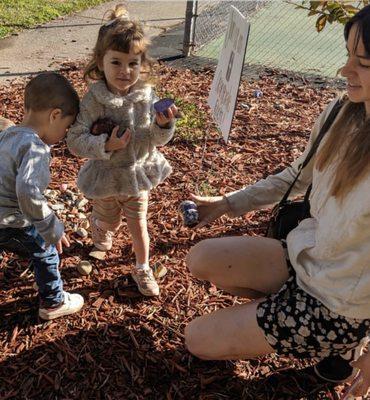 "Kindness Rocks" Take one leave one rock garden, we went rock hunting with friends this morning!